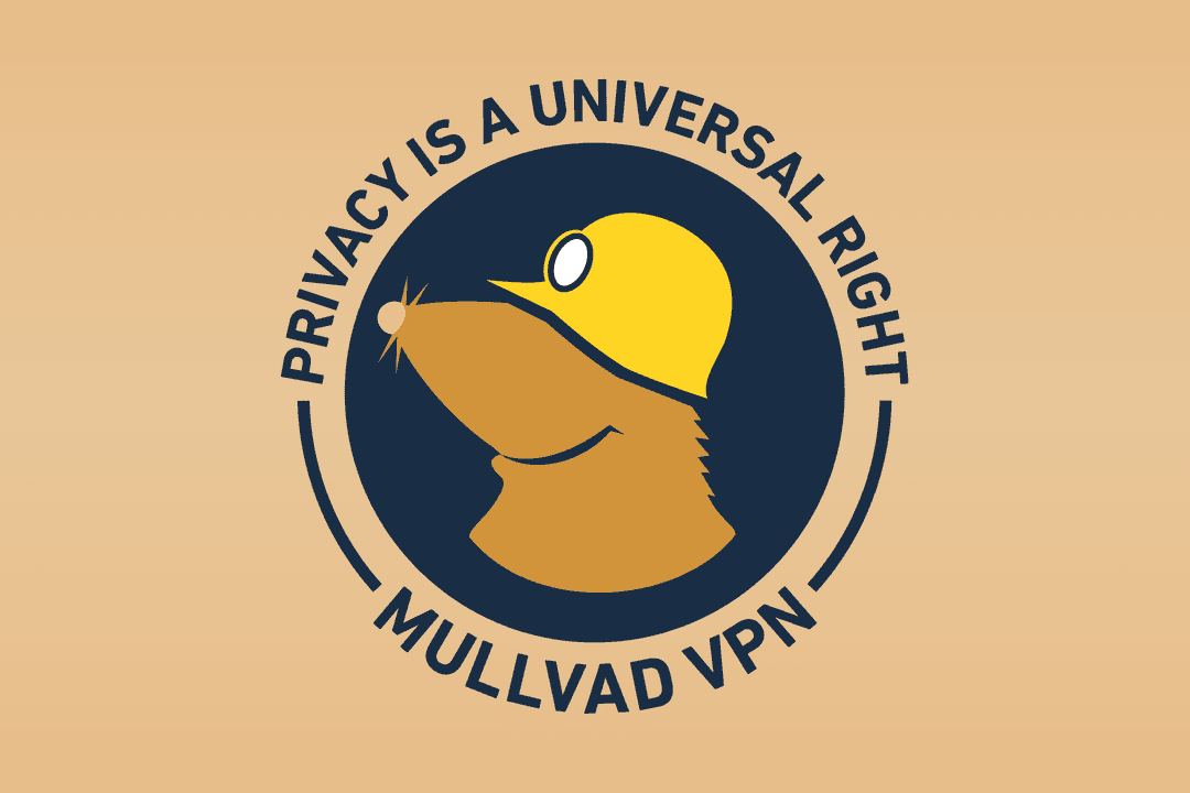 En İyi VPN Mullvad