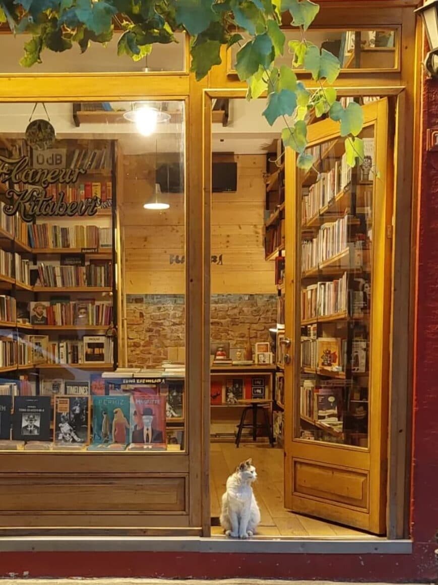 İstanbul’un Havalı Mahallesi: Yeldeğirmeni