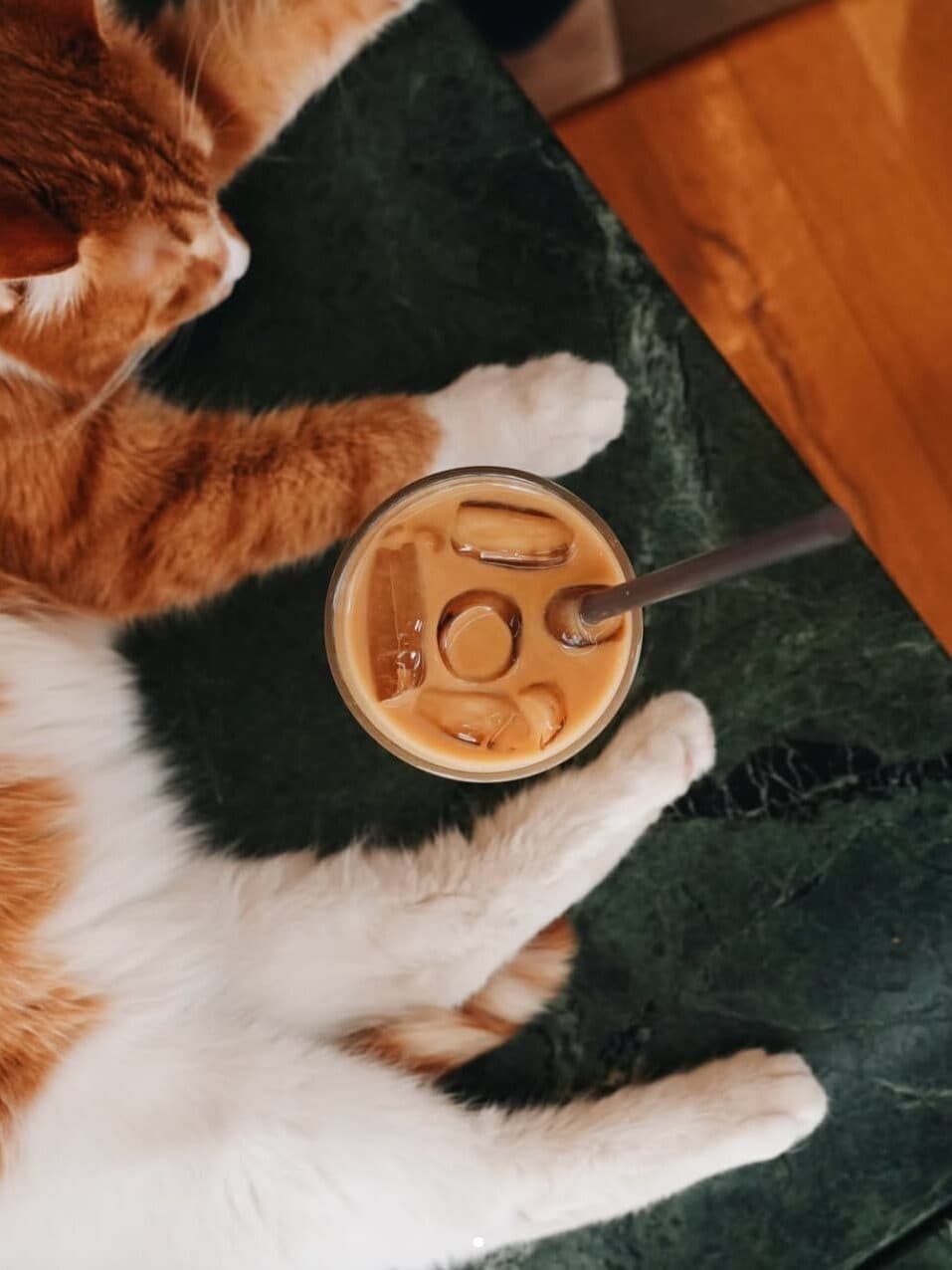 İstanbul’un Havalı Mahallesi: Yeldeğirmeni