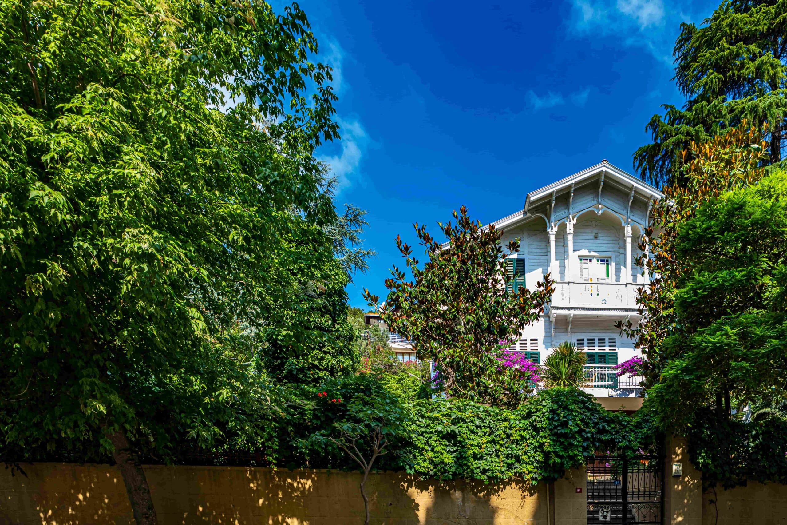 Yaz Bitmeden Adalar Rehberi: Büyükada