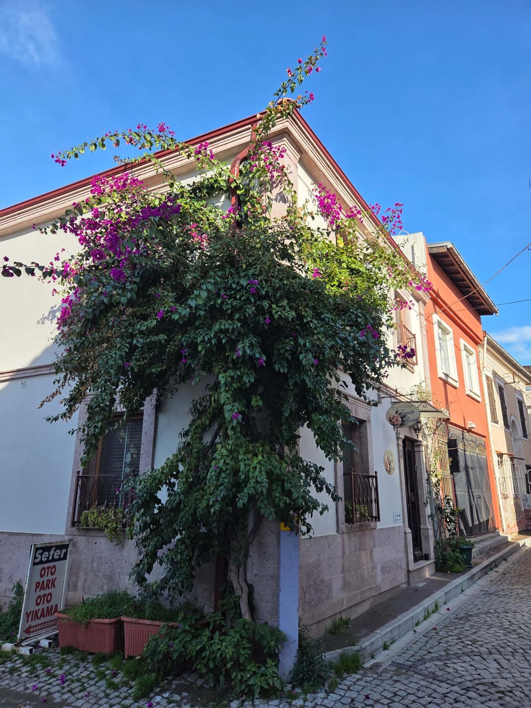 72 Saatte Ayvalık 72 Saatte Ayvalık