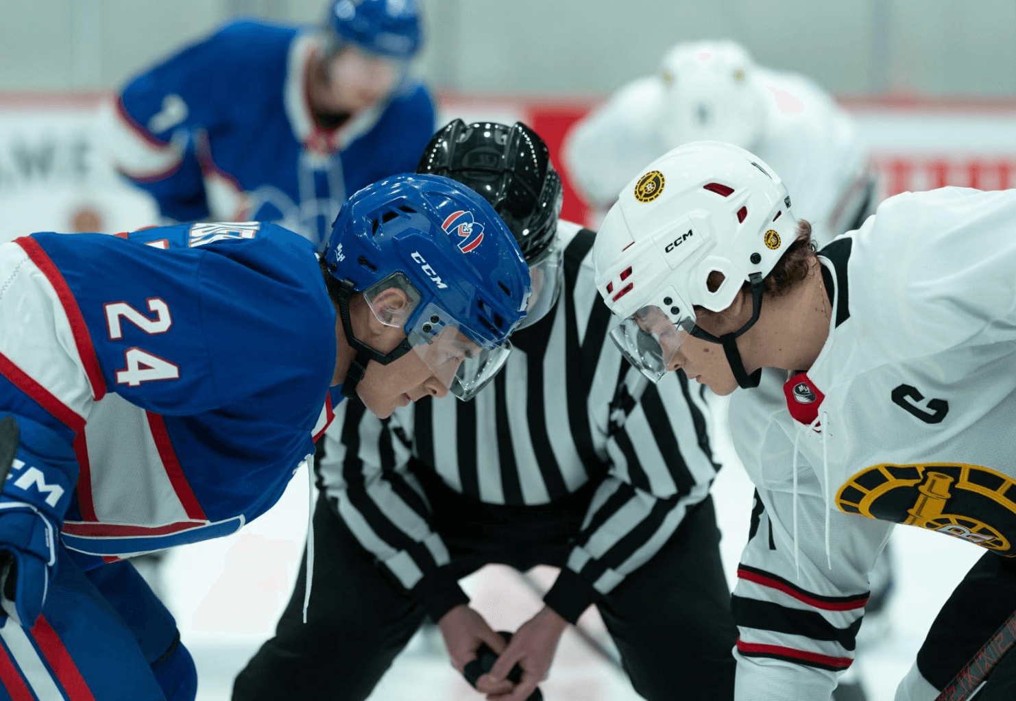 Heated Rivalry Neden Bu Kadar Popüler?