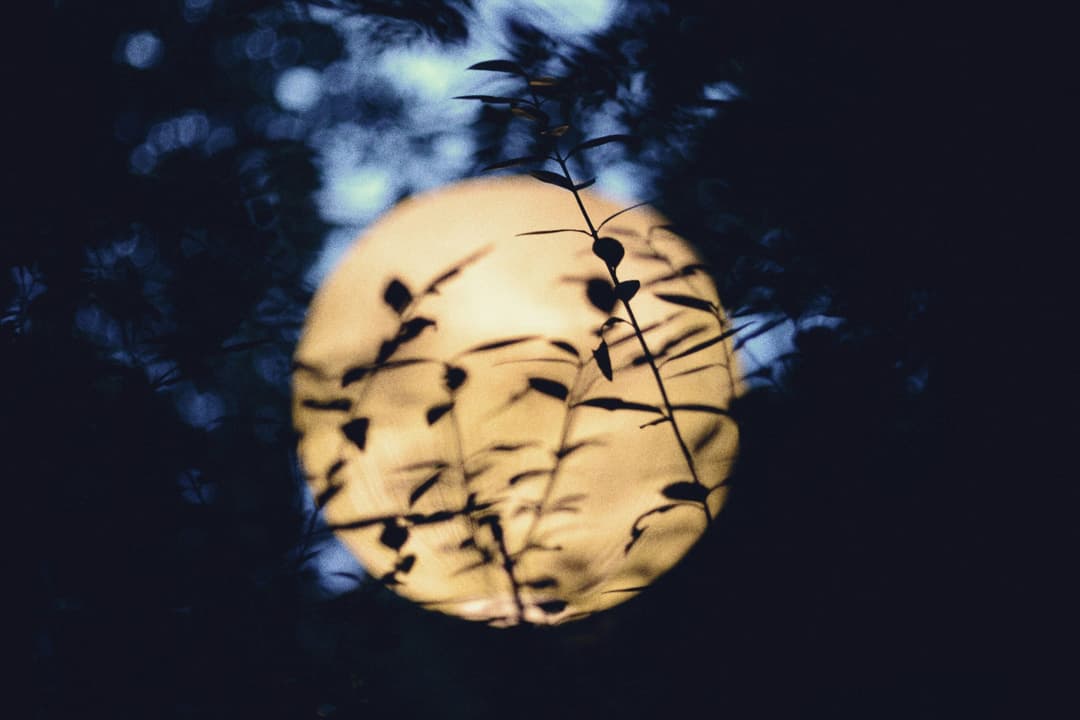 Dolunay Sana Ne Anlatıyor? 2026 Dolunay Tarihleri