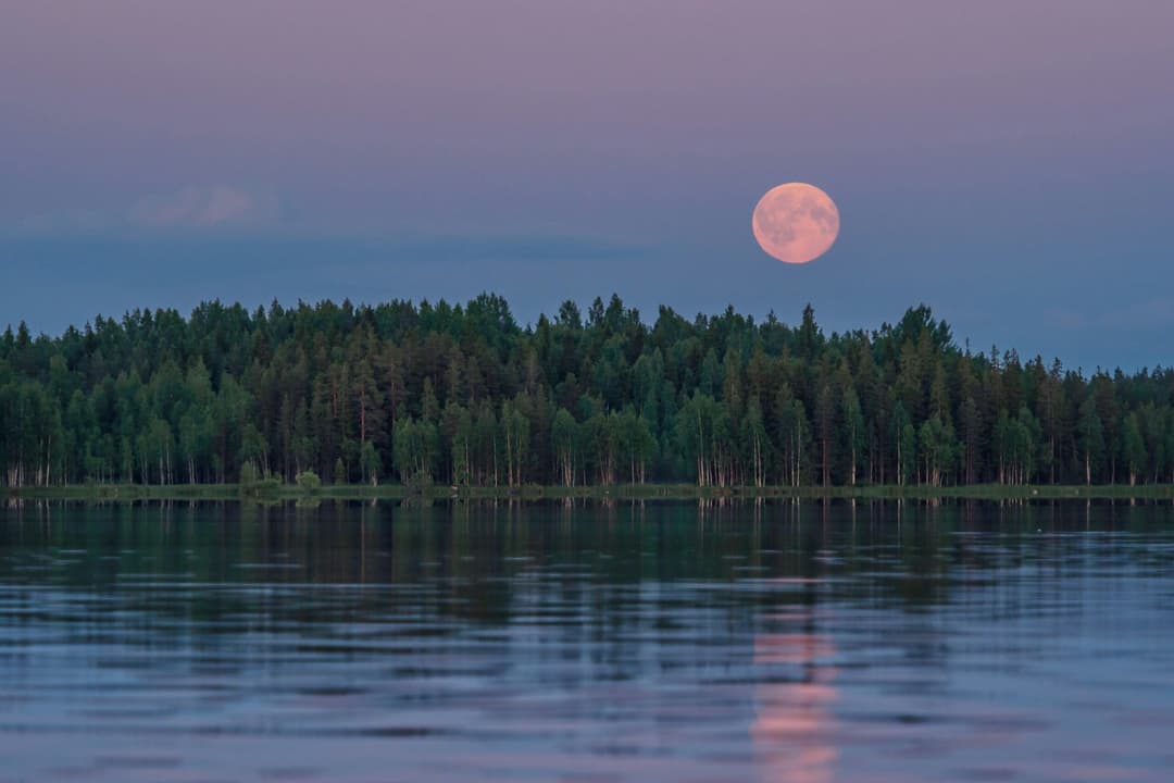 Pembe Dolunay: Terazi Burcunda Dengeyi Hatırlamak Pembe Dolunay: Terazi Burcunda Dengeyi Hatırlamak