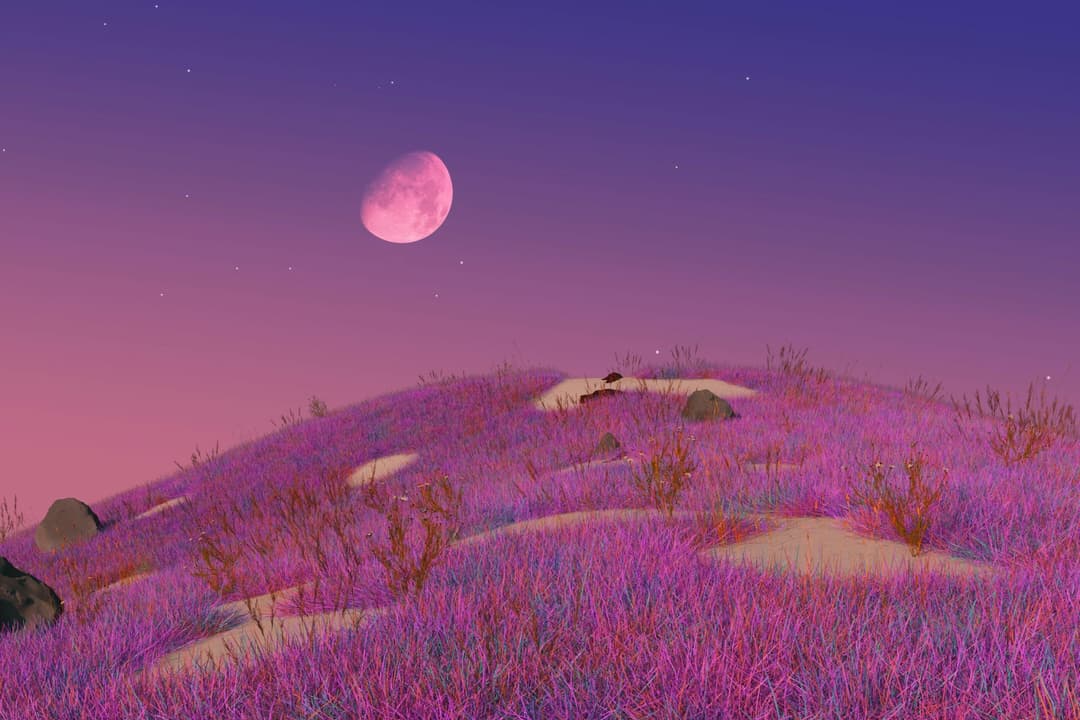 Pembe Dolunay: Terazi Burcunda Dengeyi Hatırlamak Pembe Dolunay: Terazi Burcunda Dengeyi Hatırlamak