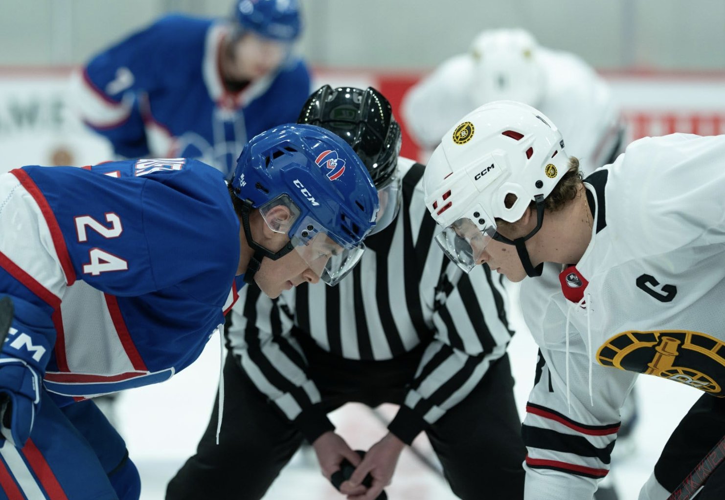 Heated Rivalry Neden Bu Kadar Popüler?